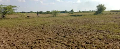 Sondh, Haryana 122105, India preview 3