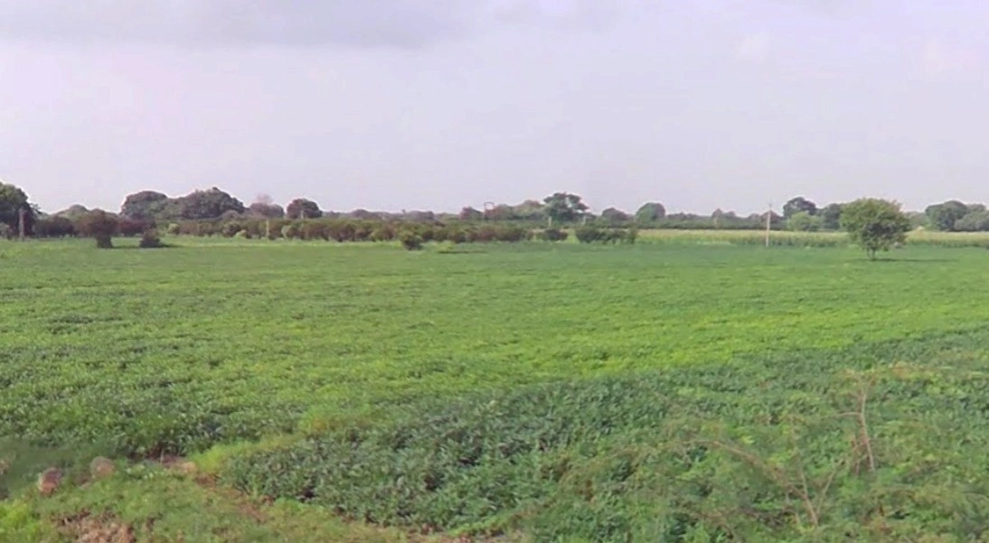 Barnagar, Madhya Pradesh 456771, India