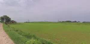 Ghasoi, Madhya Pradesh 458888, India preview 2
