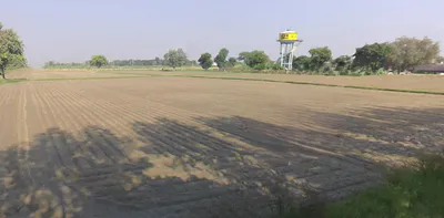Amritpur Bakhatpur, Uttar Pradesh 202132, India preview 2