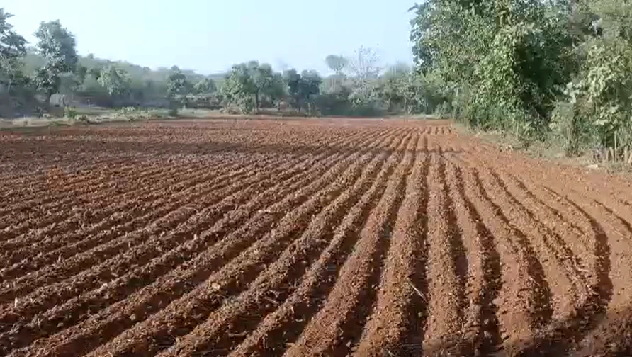 Lalit Khera, Jind, Haryana 126114, India