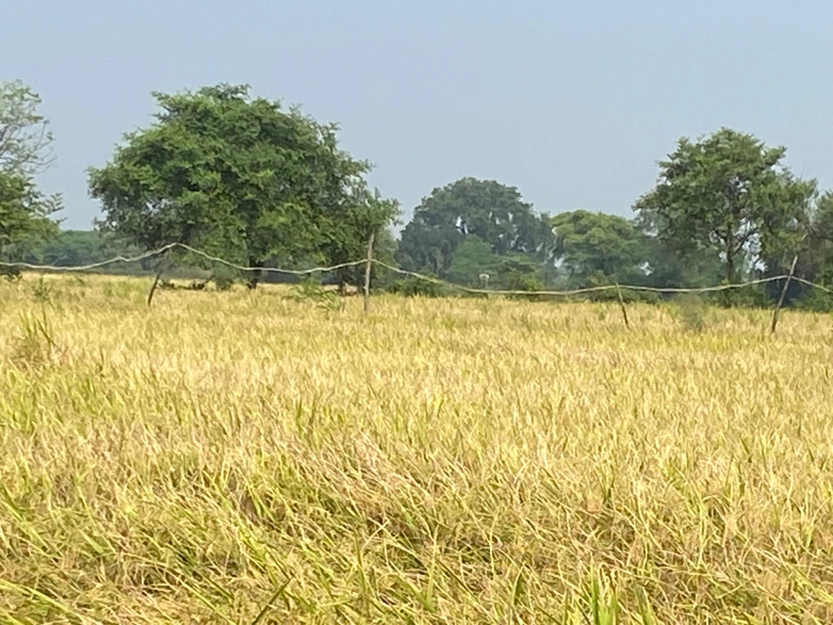 Narmadapuram, Madhya Pradesh, India