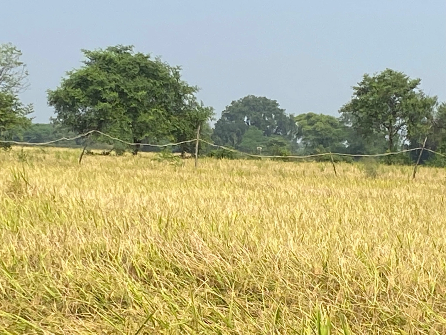 Narmadapuram, Madhya Pradesh, India