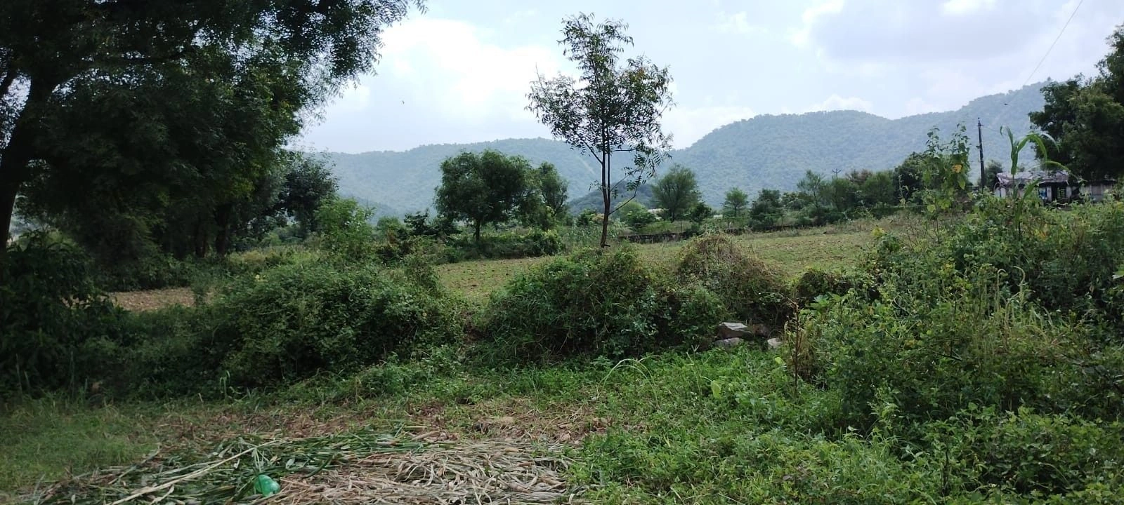 Untwal, Rajasthan 301028, India