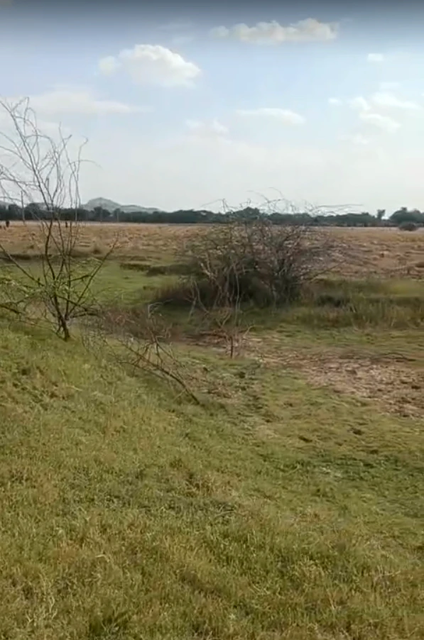 6RGC+9HF, Jebariya, Rajasthan 304021, India