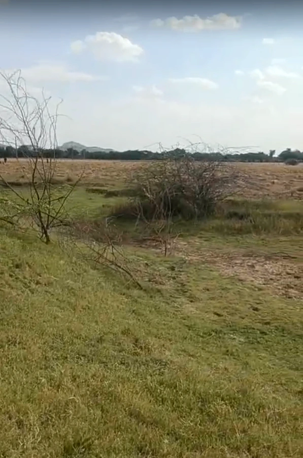 6RGC+9HF, Jebariya, Rajasthan 304021, India