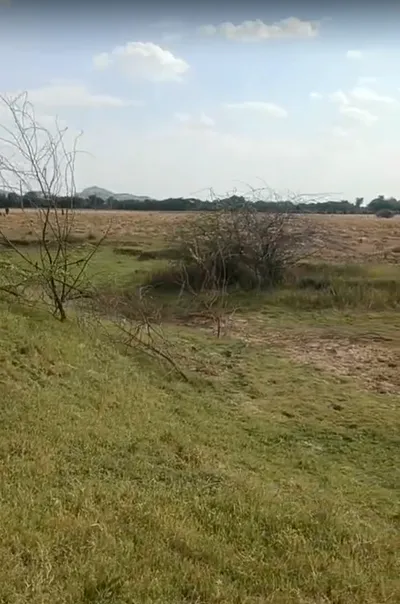 6RGC+9HF, Jebariya, Rajasthan 304021, India preview 2