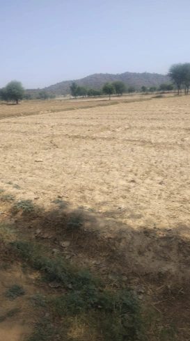 9QR8+37 Bader, Alwar, Rajasthan, India preview 2