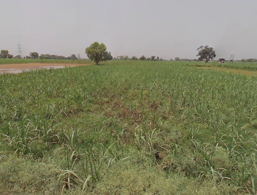 Khirwa Rd, Nangla Tashi, Meerut, Uttar Pradesh, India