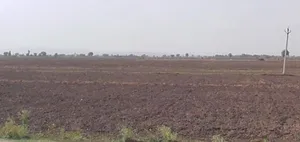 Borda, Madhya Pradesh, India preview 3