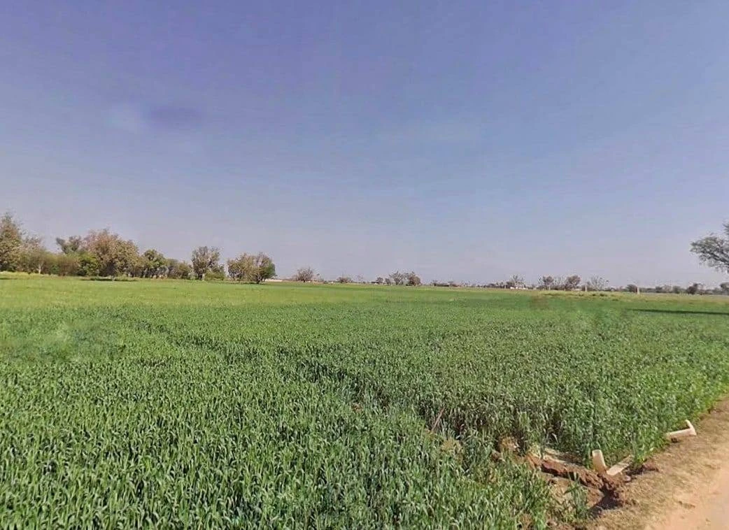 Vill.chandrakabass, Alwar, Rajasthan 301021, India