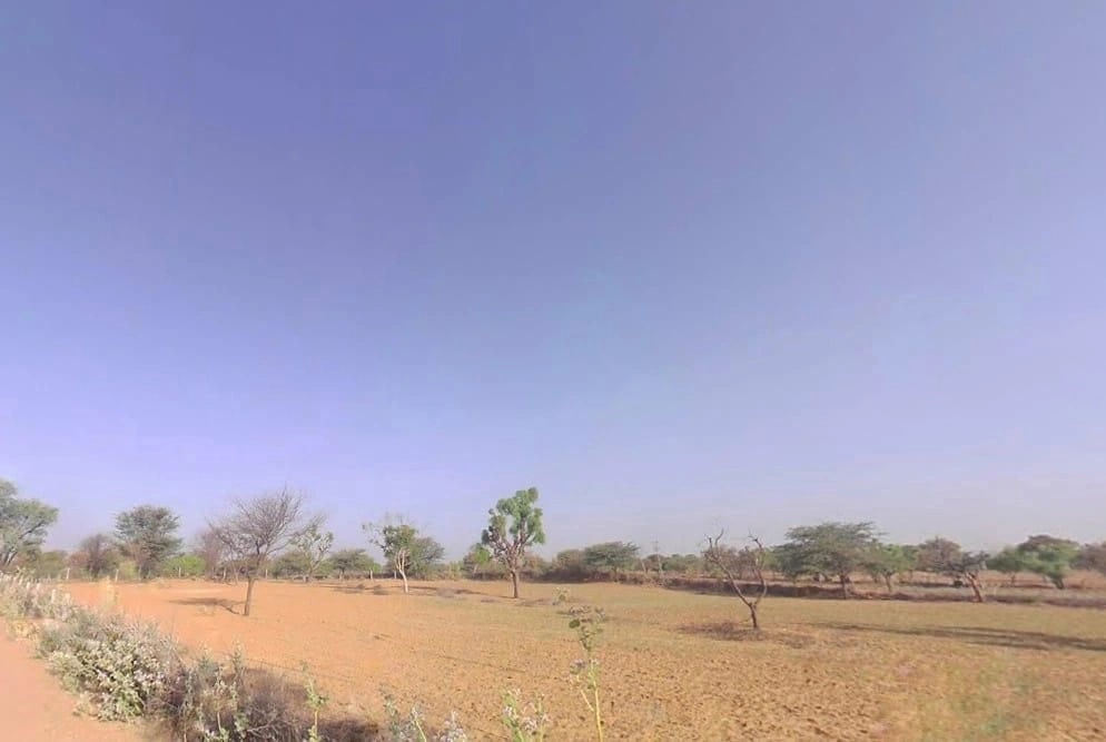 Palsana, Rajasthan 332402, India