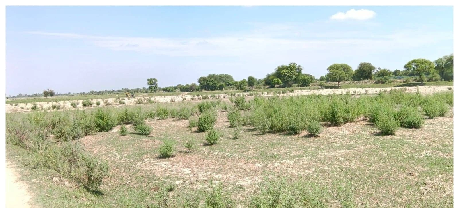 PXRR+W6G, Barun Bazar Sohawal Rd, Sohawal, Khirauni, Uttar Pradesh 224188, India