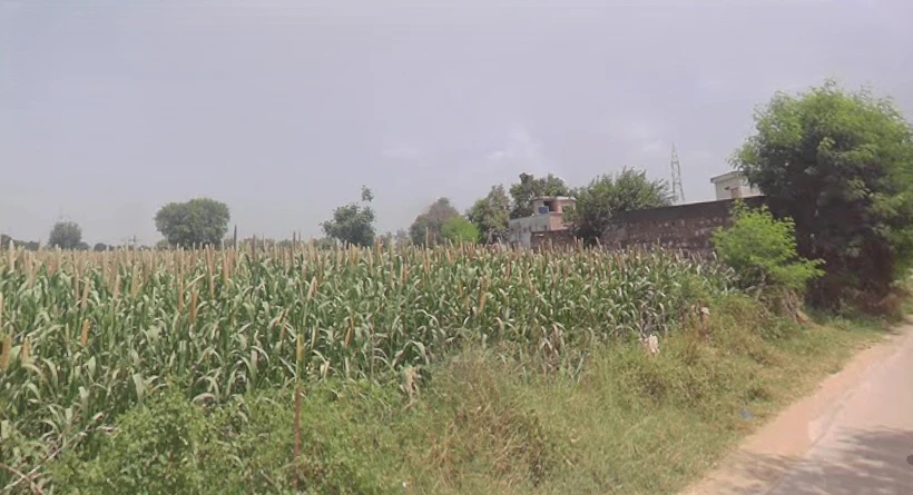 Mala Khera, Rajasthan 301406, India