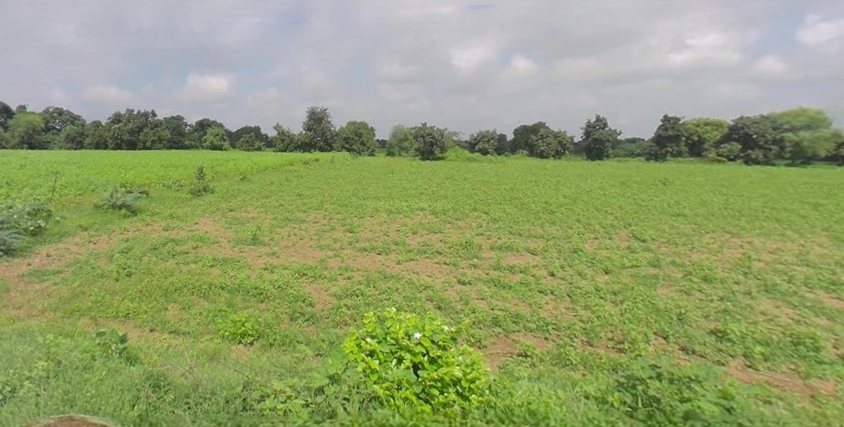 Bijnor, Uttar Pradesh 246701, India