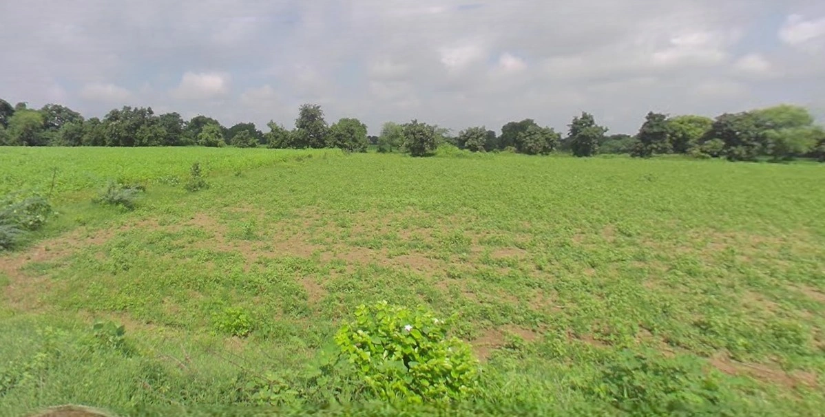 Bijnor, Uttar Pradesh 246701, India