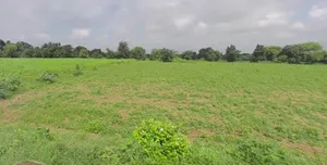 Bijnor, Uttar Pradesh 246701, India preview 3