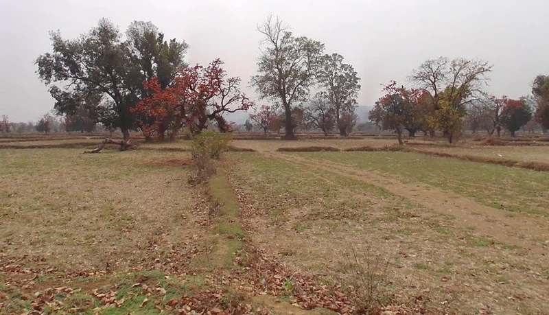 Sendri, Bilaspur, Chhattisgarh, India preview 2