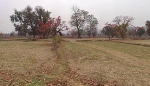 Sendri, Bilaspur, Chhattisgarh, India preview 2