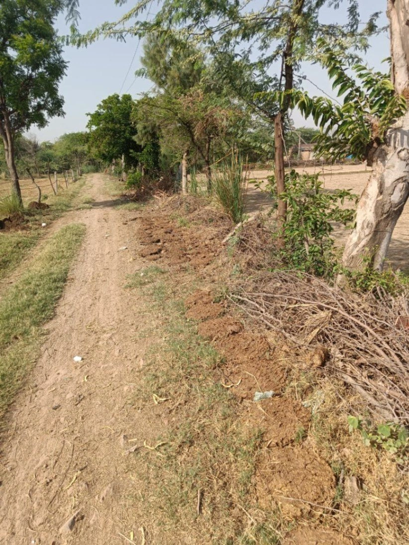 Ajhai Kalan, Uttar Pradesh 281406, India