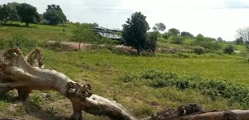 Mamna, Mahoba, Uttar Pradesh, India - Photo 2