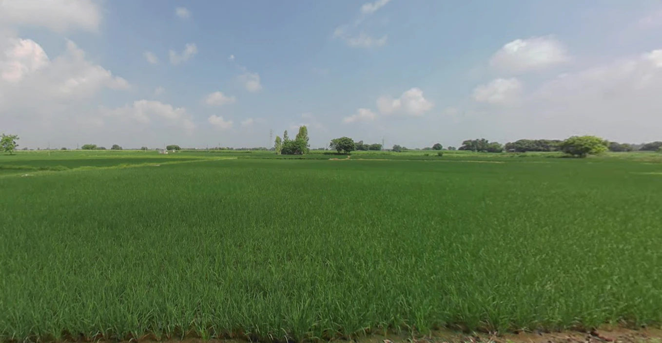 Bela, Punjab 140111, India