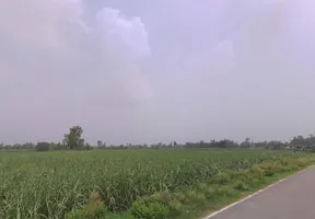 FWX8+PP Suhas, Uttar Pradesh, India preview 2