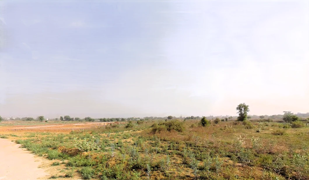 Aya Nagar, New Delhi, Delhi, India