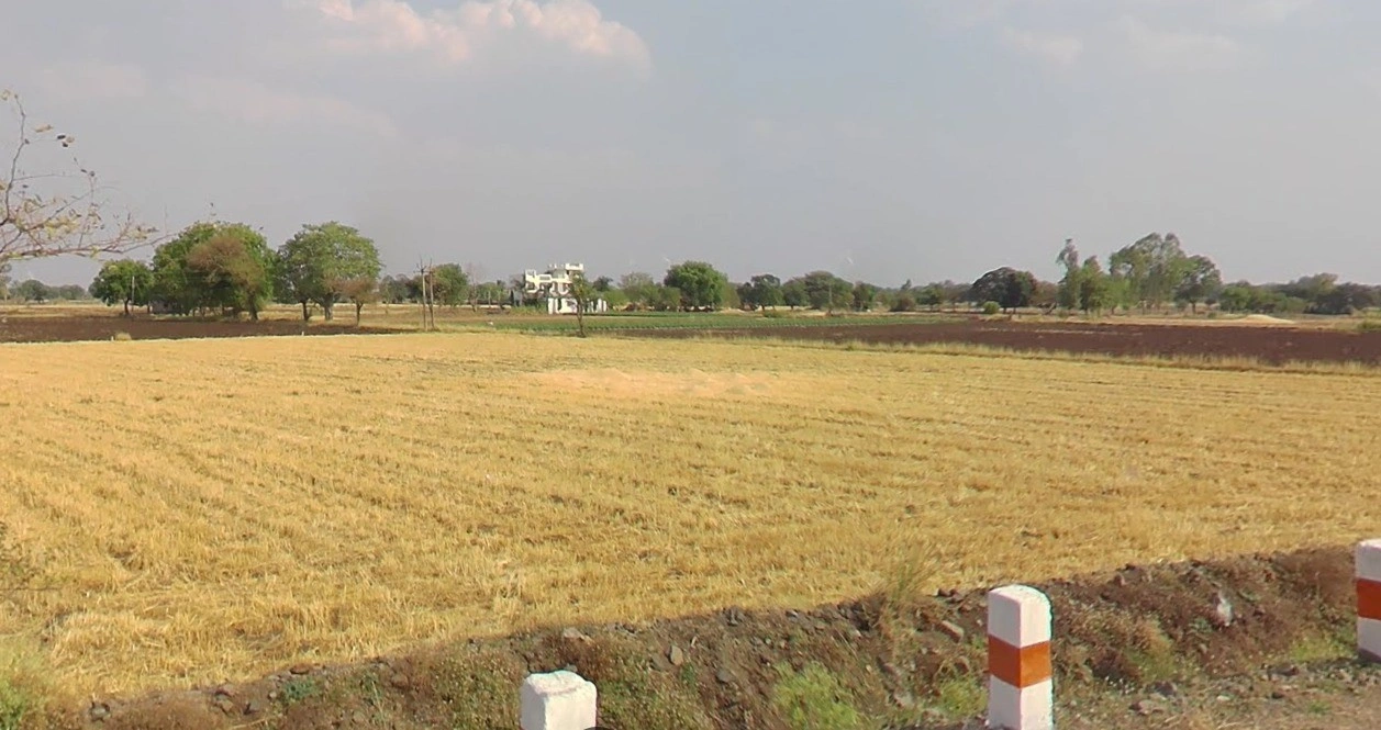 Nimbod, Madhya Pradesh 458669, India