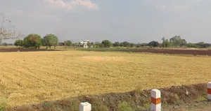 Nimbod, Madhya Pradesh 458669, India preview 3