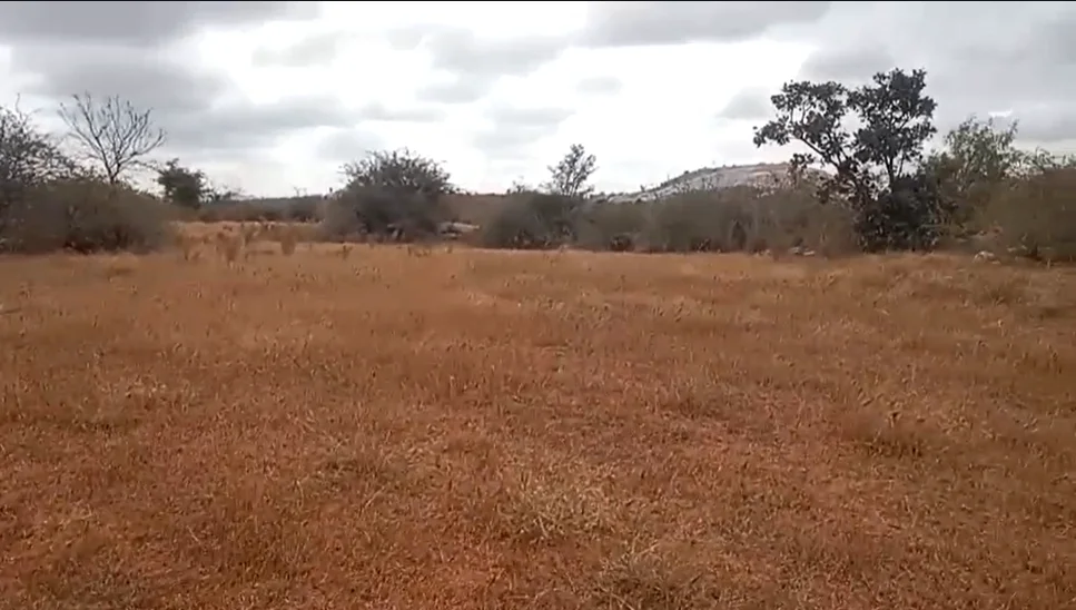 4GGH+MG9, Byalakere Main Road, Mavallipura, Bengaluru, Karnataka 560089, India preview 2