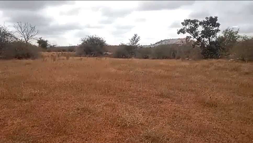 4GGH+MG9, Byalakere Main Road, Mavallipura, Bengaluru, Karnataka 560089, India