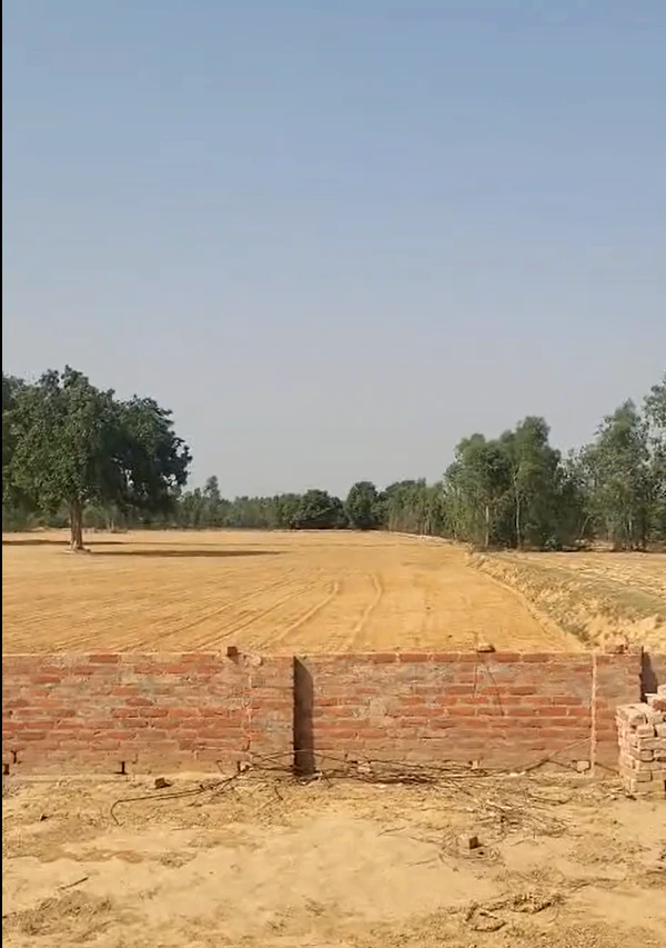 Panpur, West Bengal 711401, India