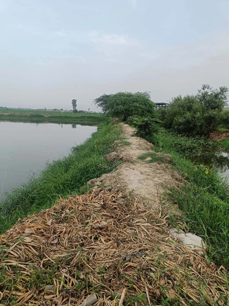 Javara, Mathura, Uttar Pradesh, India