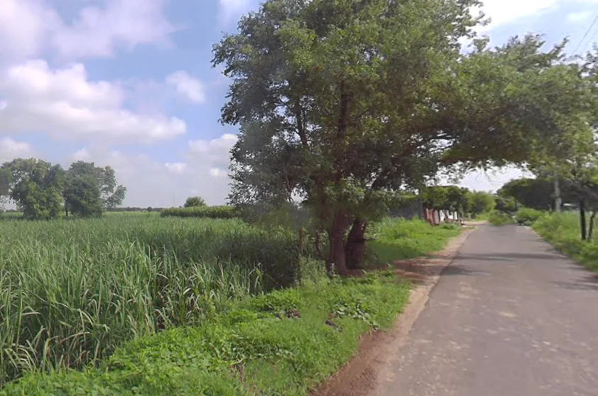 Salempur, Uttar Pradesh 203001, India preview 2