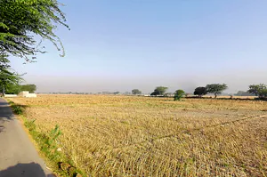 Daryapur Khurd Village, Delhi, 110073, India preview 3