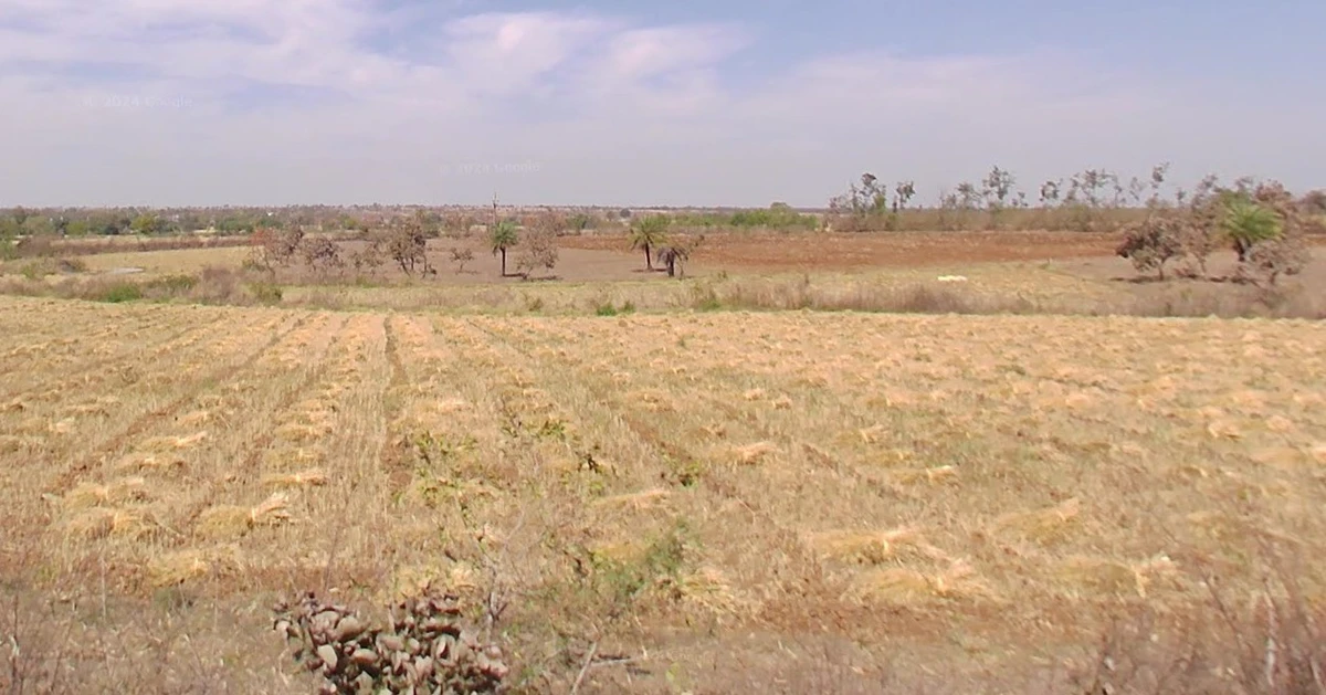 Sakhedi, Madhya Pradesh, India