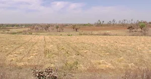 Sakhedi, Madhya Pradesh, India preview 3