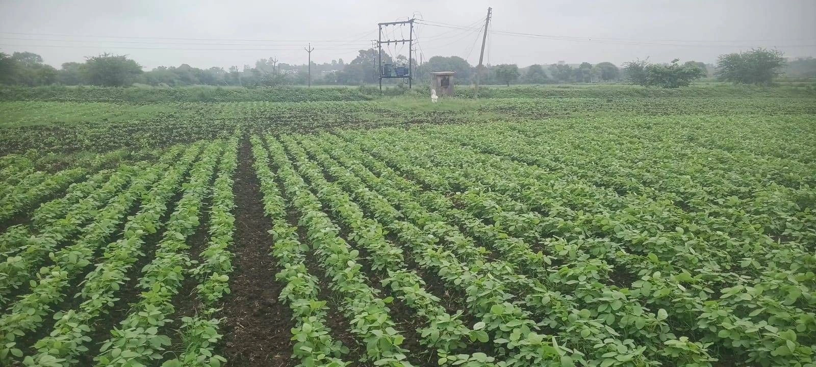 RRCH+6PJ, Indore, Rewati, Madhya Pradesh, India