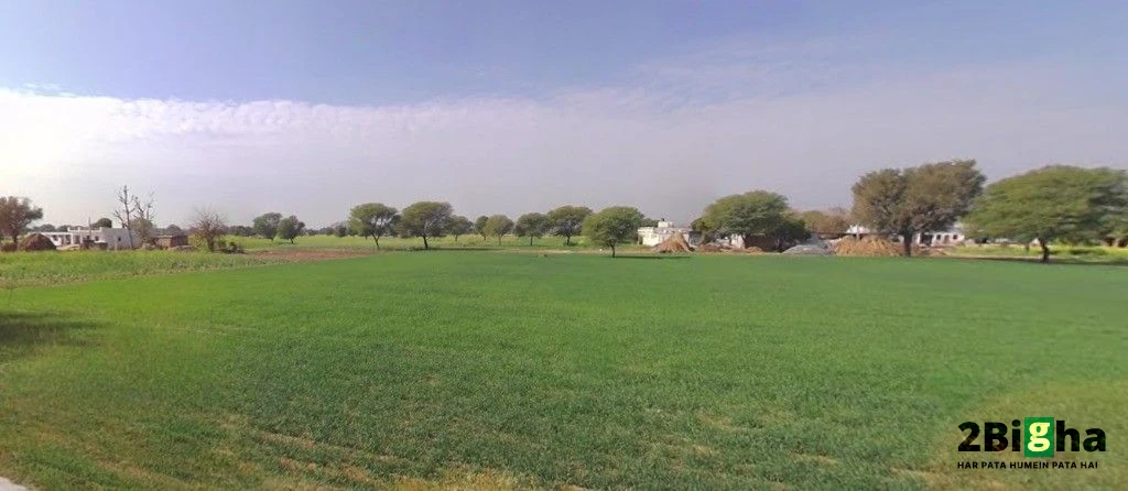 Moodiya, Rajasthan 321028, India