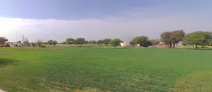 Moodiya, Rajasthan 321028, India preview 3