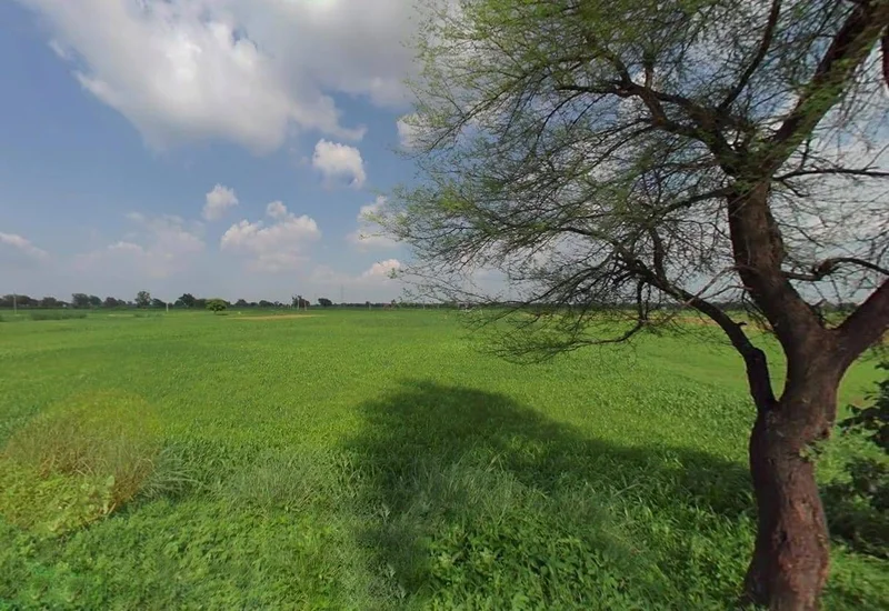 25CH+PR7, Bharatpur Rd, Weir, Rajasthan 321408, India preview 3