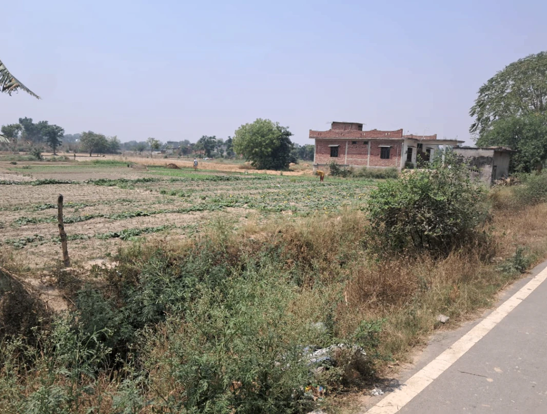 Rajpura, Punjab, India
