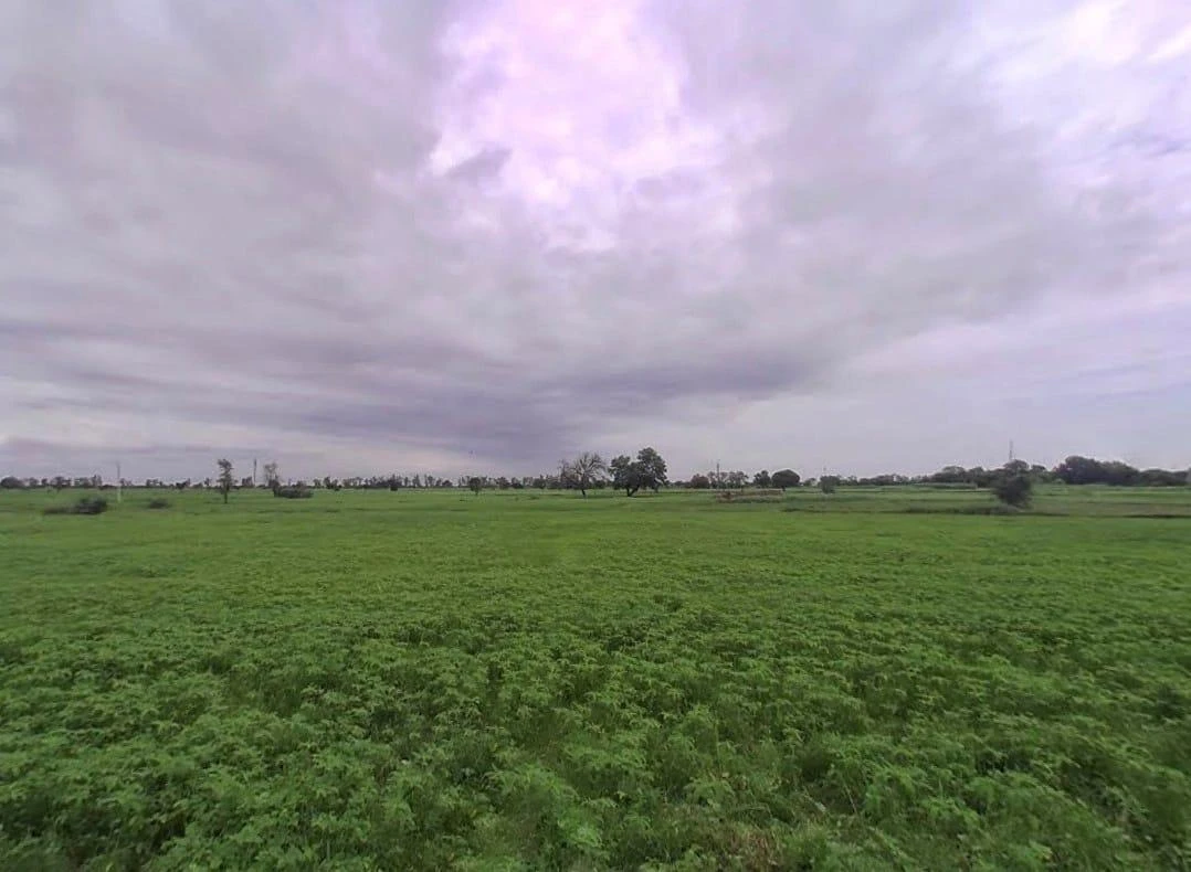 596P+VVJ, Mahua, Rajasthan 321303, India