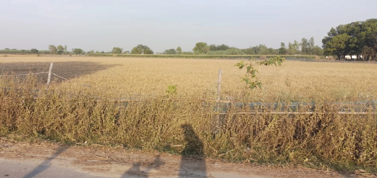 Mehna, Punjab 142011, India