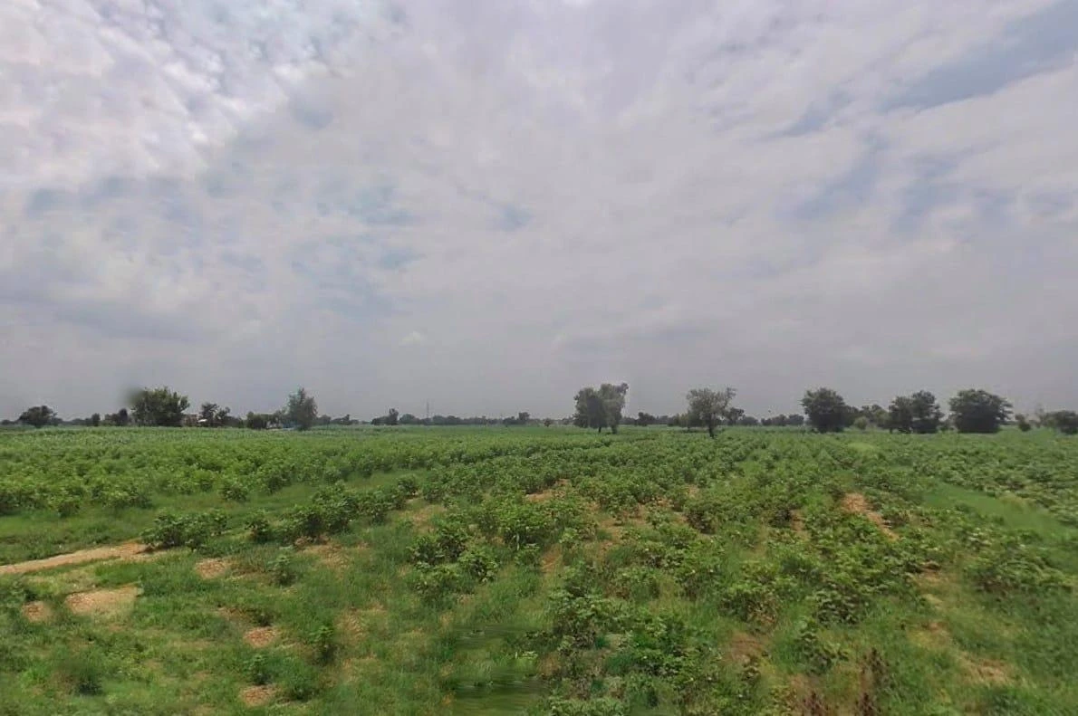 Bharatpur Rd, Semli, Rajasthan, India