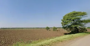 Adampur, Madhya Pradesh 461331, India preview 3