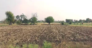 Goyala, Madhya Pradesh, India preview 3