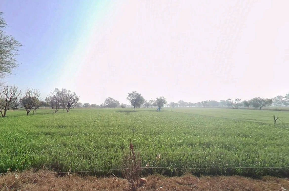 7Q48+7J, Pinan, Rajasthan 301413, India