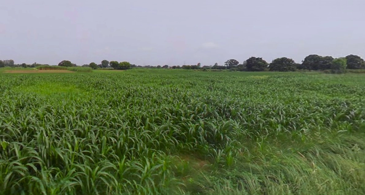 Karwi, Uttar Pradesh 210205, India